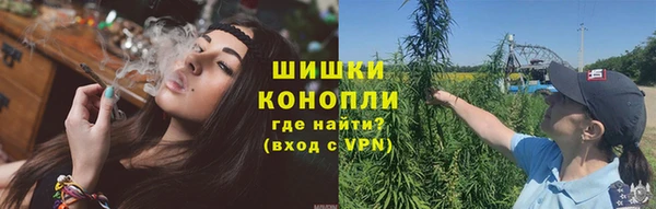 спиды Лагань