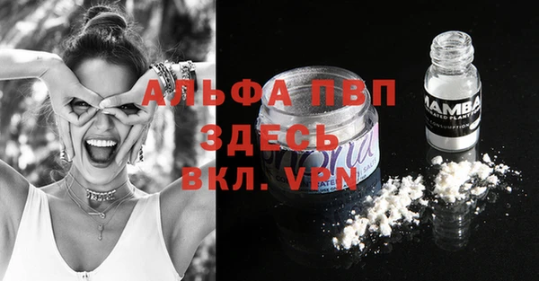 спиды Лагань