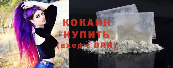 винт Куйбышев