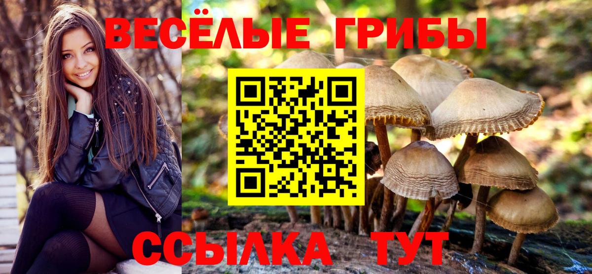 Галлюциногенные грибы Cubensis  Псилоцибиновые грибы GOLDEN TEACHER  Курск  Вход с VPN 